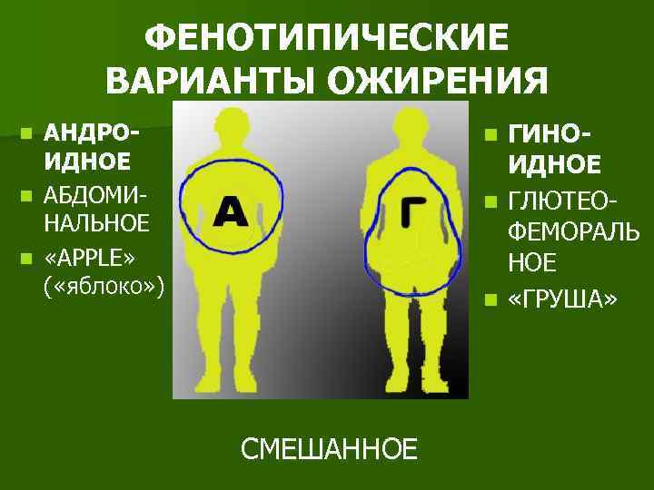 ФЕНОТИПИЧЕСКИЕ ВАРИАНТЫ ОЖИРЕНИЯ ГИНОИДНОЕ n ГЛЮТЕОФЕМОРАЛЬ НОЕ n «ГРУША» АНДРОИДНОЕ n АБДОМИНАЛЬНОЕ n «APPLE»