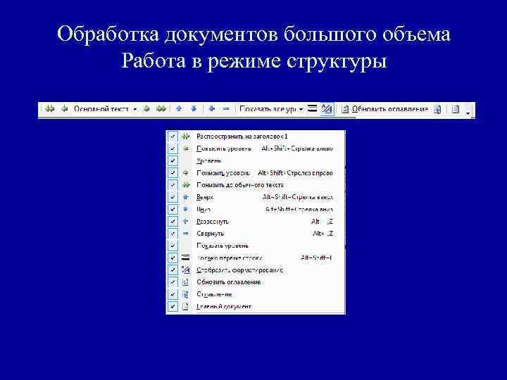 Обработка документов большого объема Работа в режиме структуры 