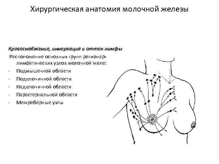 Лимфоузлы под мышками расположение схема у мужчин картинки