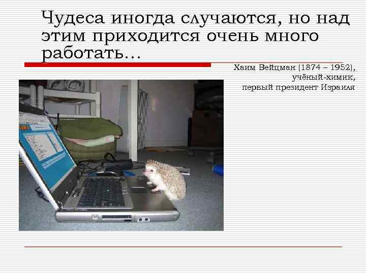 Чудеса иногда случаются, но над этим приходится очень много работать… Хаим Вейцман (1874 –