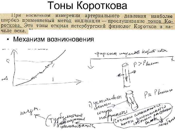 Тоны Короткова • Механизм возникновения 