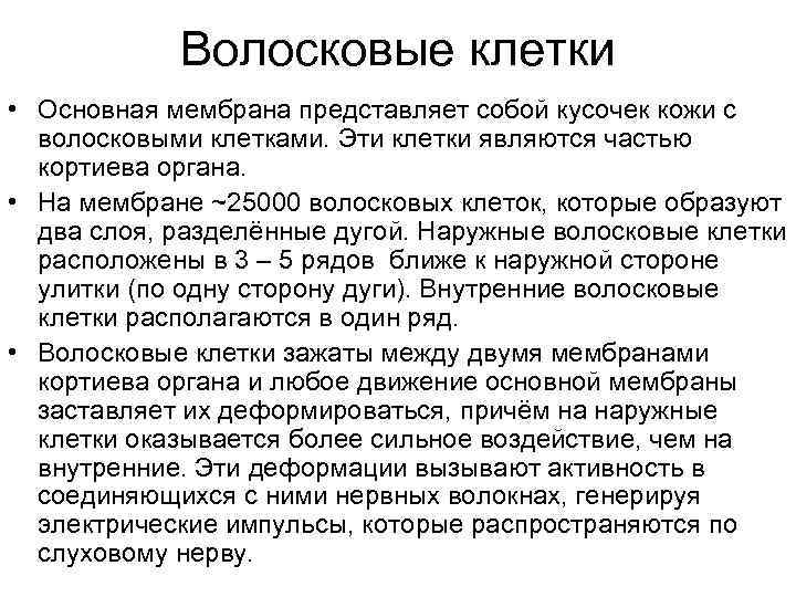 Волосковые клетки • Основная мембрана представляет собой кусочек кожи с волосковыми клетками. Эти клетки