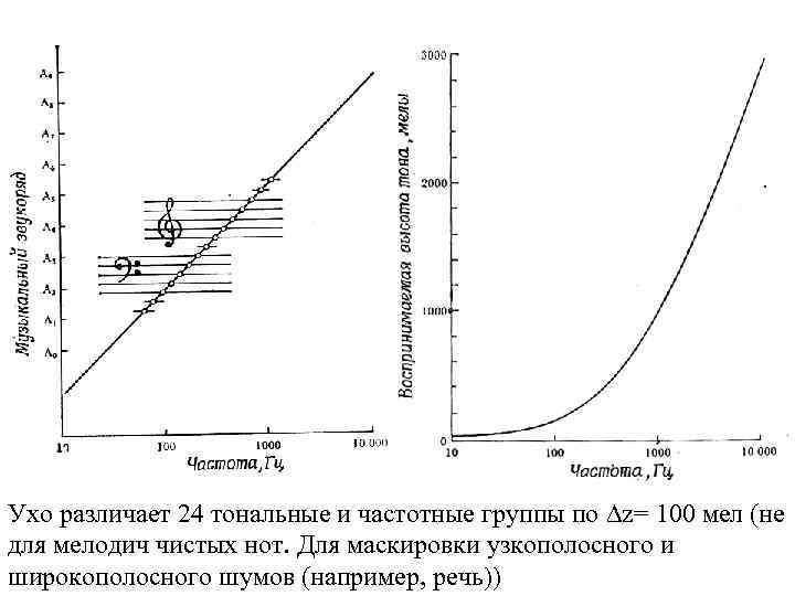Ухо различает 24 тональные и частотные группы по z= 100 мел (не для мелодич