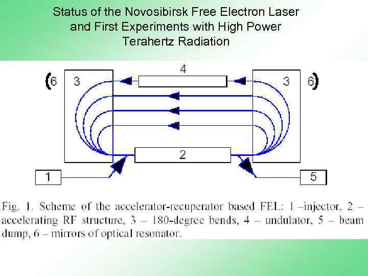 Status of the Novosibirsk Free Electron Laser and First Experiments with High Power Terahertz