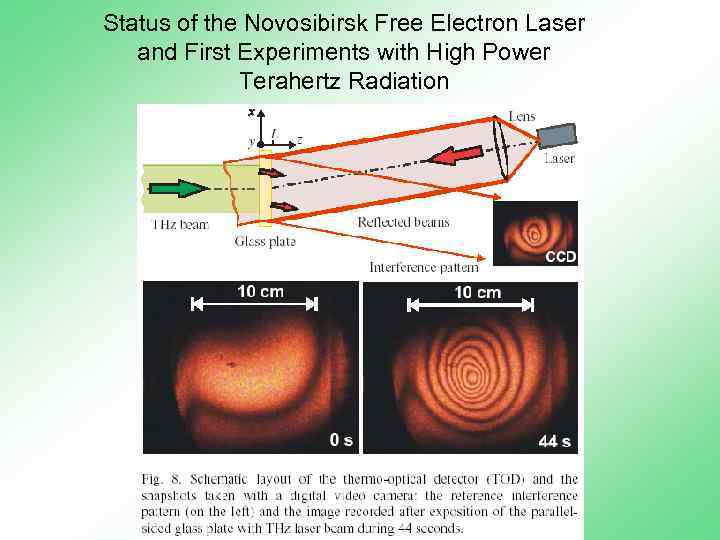 Status of the Novosibirsk Free Electron Laser and First Experiments with High Power Terahertz