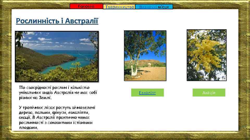 Головна Тваринництво Визначні місця Рослинність і Австралії По своєрідності рослин і кількістю унікальних видів