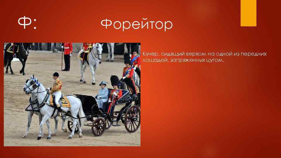 Ф: Форейтор Кучер, сидящий верхом на одной из передних лошадей, запряженных цугом. 