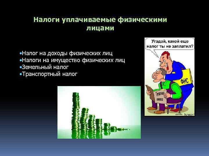 Налоги уплачиваемые физическими лицами • Налог на доходы физических лиц • Налоги на имущество