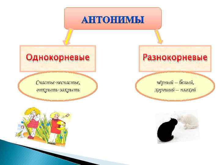 Однокоренные слова антонимы