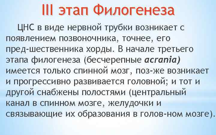 III этап Филогенеза ЦНС в виде нервной трубки возникает с появлением позвоночника, точнее, его