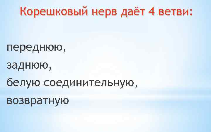 Корешковый нерв даёт 4 ветви: переднюю, заднюю, белую соединительную, возвратную 