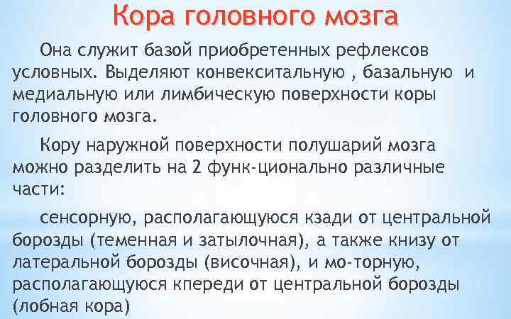 Кора головного мозга Она служит базой приобретенных рефлексов условных. Выделяют конвекситальную , базальную и