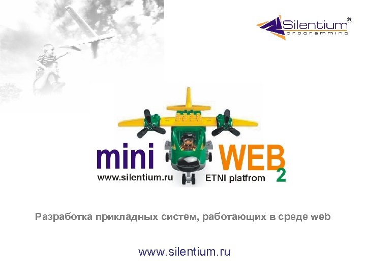 Разработка прикладных систем, работающих в среде web www. silentium. ru 