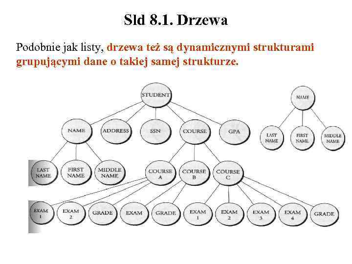 Sld 8. 1. Drzewa Podobnie jak listy, drzewa też są dynamicznymi strukturami grupującymi dane