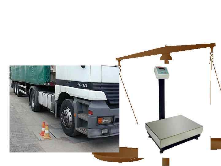 ВАГИ КОНВЕЄРНІ ТА МОНОРЕЛЬСОВІ 