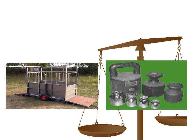 ПЕРЕСУВНІ ПОВІРОЧНІ ЛАБОРАТОРІЇ 