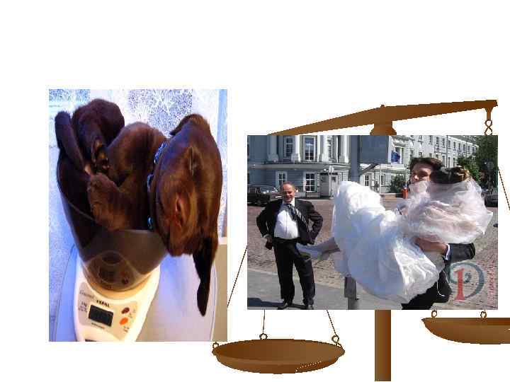 КОНТРОЛЬНЕ ЗВАЖУВАННЯ 