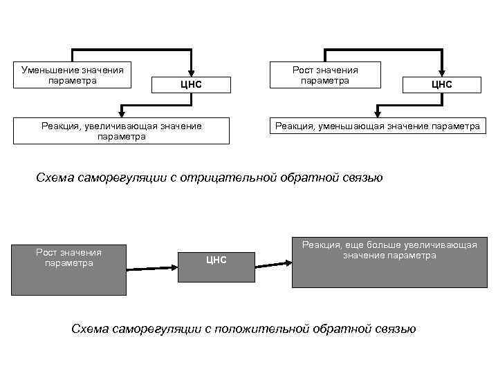 Уменьшение значения параметра Рост значения параметра ЦНС Реакция, увеличивающая значение параметра ЦНС Реакция, уменьшающая
