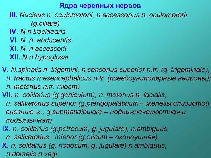 Ядра черепных нервов III. Nucleus n. oculomotorii, n. accessorius n. oculomotorii (g. ciliare) IV.