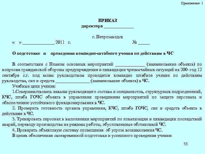 Приложение 1 ПРИКАЗ директора _______ г. Петрозаводск « » _______ 2011 г. № _____