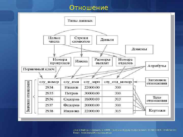 Знание основ баз данных. Класс объектов в базе данных. База данных и база знаний. Основные понятия базы данных схема. Основа реляционной базы.