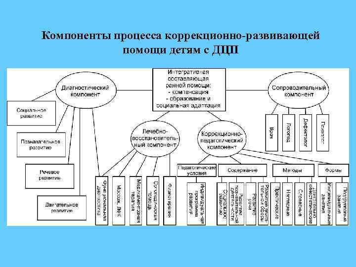 Компоненты процесса коррекционно-развивающей помощи детям с ДЦП 
