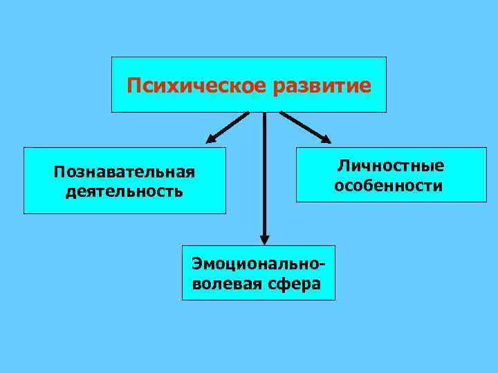 Психическое развитие Познавательная деятельность Эмоциональноволевая сфера Личностные особенности 