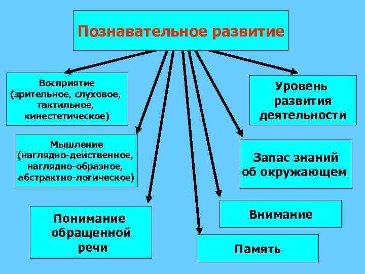 Познавательное развитие Восприятие (зрительное, слуховое, тактильное, кинестетическое) Мышление (наглядно-действенное, наглядно-образное, абстрактно-логическое) Понимание обращенной речи