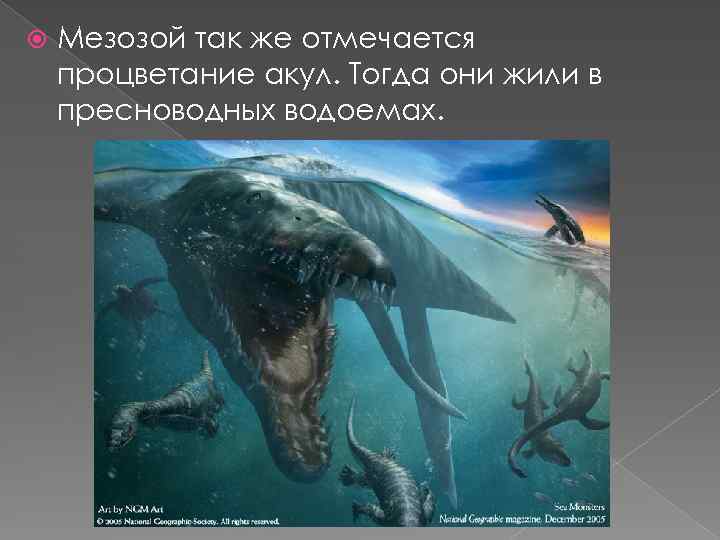  Мезозой так же отмечается процветание акул. Тогда они жили в пресноводных водоемах. 