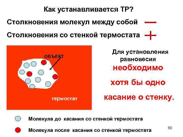 Как устанавливается ТР? Столкновения молекул между собой Столкновения со стенкой термостата ОБЪЕКТ Для установления
