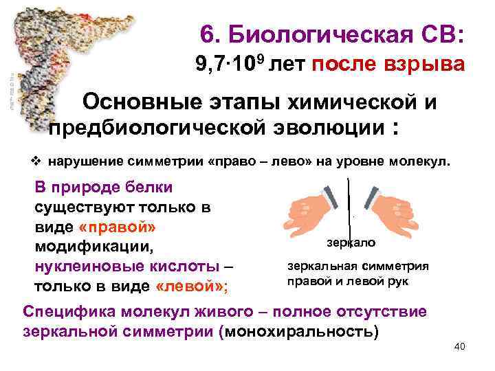 6. Биологическая СВ: 9, 7∙ 109 лет после взрыва Основные этапы химической и предбиологической