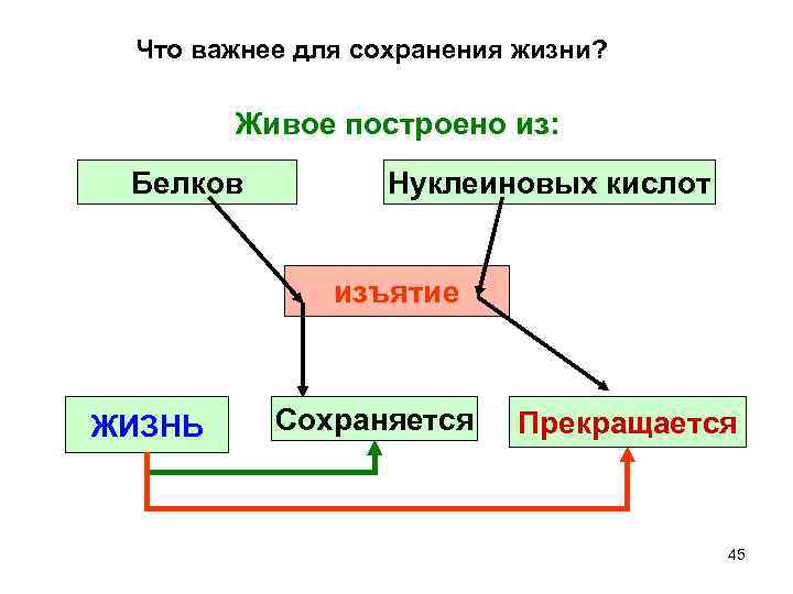 Что важнее для сохранения жизни? Живое построено из: Белков Нуклеиновых кислот изъятие ЖИЗНЬ Сохраняется