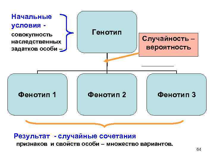 Начальные условия совокупность наследственных задатков особи – Фенотип 1 Генотип Фенотип 2 Случайность –
