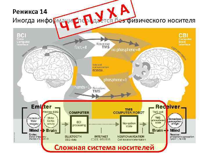 ХА ПУ Реникса 14 Иногда информация передается без физического носителя ЧЕ Сложная система носителей