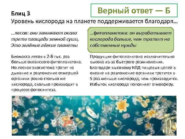 Верный ответ — Б Блиц 3 Уровень кислорода на планете поддерживается благодаря… …лесов: они