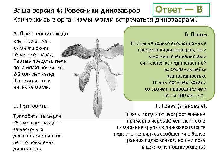 Ответ — В Ваша версия 4: Ровесники динозавров Какие живые организмы могли встречаться динозаврам?