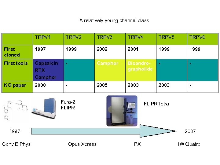  A relatively young channel class TRPV 1 TRPV 2 TRPV 3 TRPV 4