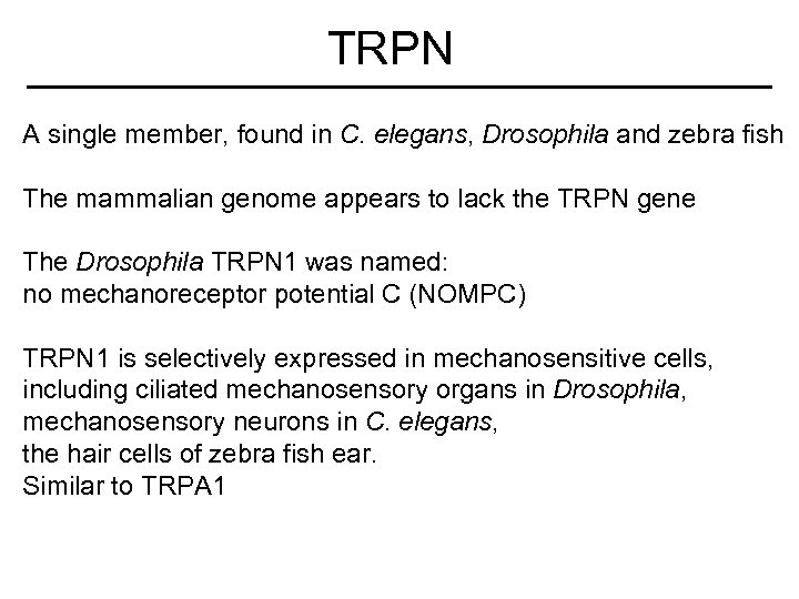 TRPN A single member, found in C. elegans, Drosophila and zebra fish The mammalian