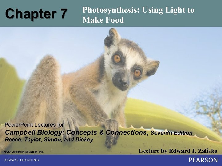 Chapter 7 Photosynthesis: Using Light to Make Food Power. Point Lectures for Campbell Biology: