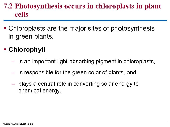 7. 2 Photosynthesis occurs in chloroplasts in plant cells § Chloroplasts are the major