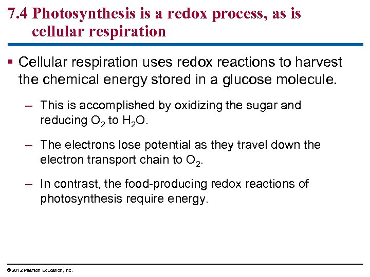 7. 4 Photosynthesis is a redox process, as is cellular respiration § Cellular respiration