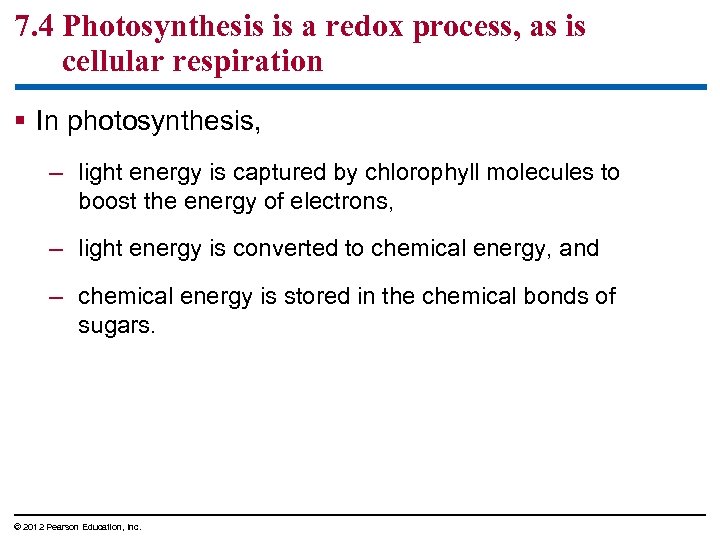 7. 4 Photosynthesis is a redox process, as is cellular respiration § In photosynthesis,