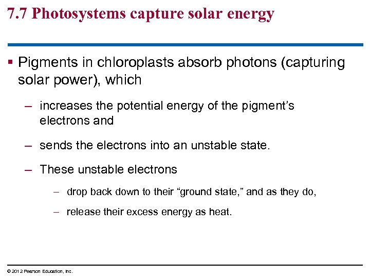 7. 7 Photosystems capture solar energy § Pigments in chloroplasts absorb photons (capturing solar