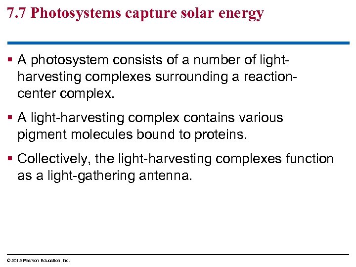 7. 7 Photosystems capture solar energy § A photosystem consists of a number of