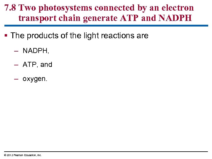 7. 8 Two photosystems connected by an electron transport chain generate ATP and NADPH