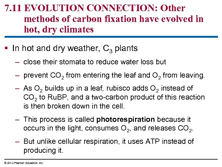 7. 11 EVOLUTION CONNECTION: Other methods of carbon fixation have evolved in hot, dry