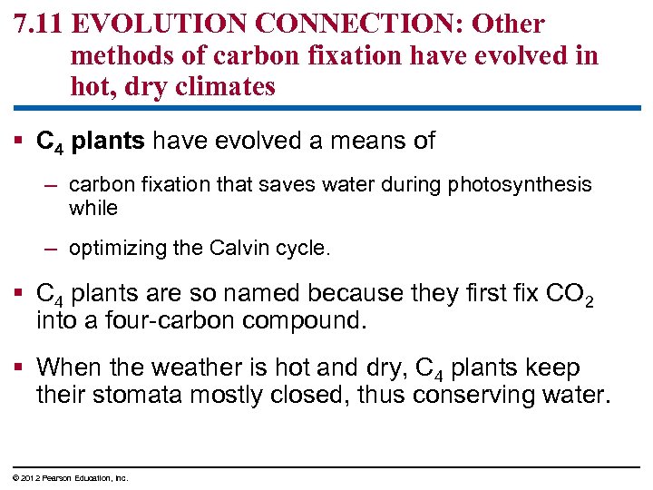 7. 11 EVOLUTION CONNECTION: Other methods of carbon fixation have evolved in hot, dry
