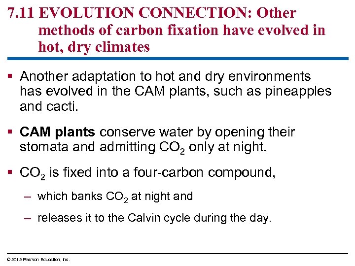 7. 11 EVOLUTION CONNECTION: Other methods of carbon fixation have evolved in hot, dry