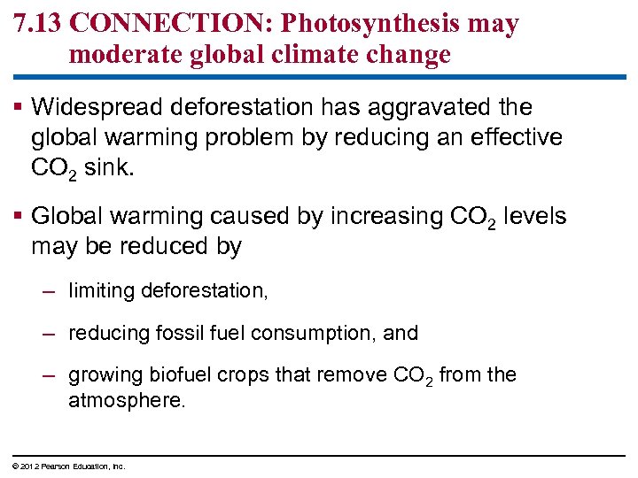 7. 13 CONNECTION: Photosynthesis may moderate global climate change § Widespread deforestation has aggravated
