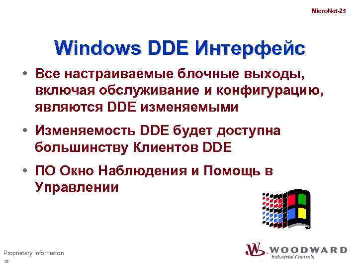Micro. Net-25 Windows DDE Интерфейс Все настраиваемые блочные выходы, включая обслуживание и конфигурацию, являются